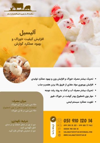 آلیسیل بروشور