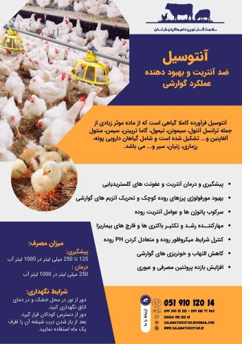 آنتوسیل بروشور