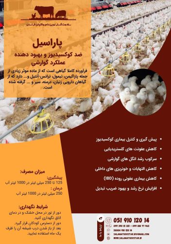 پاراسیل بروشور